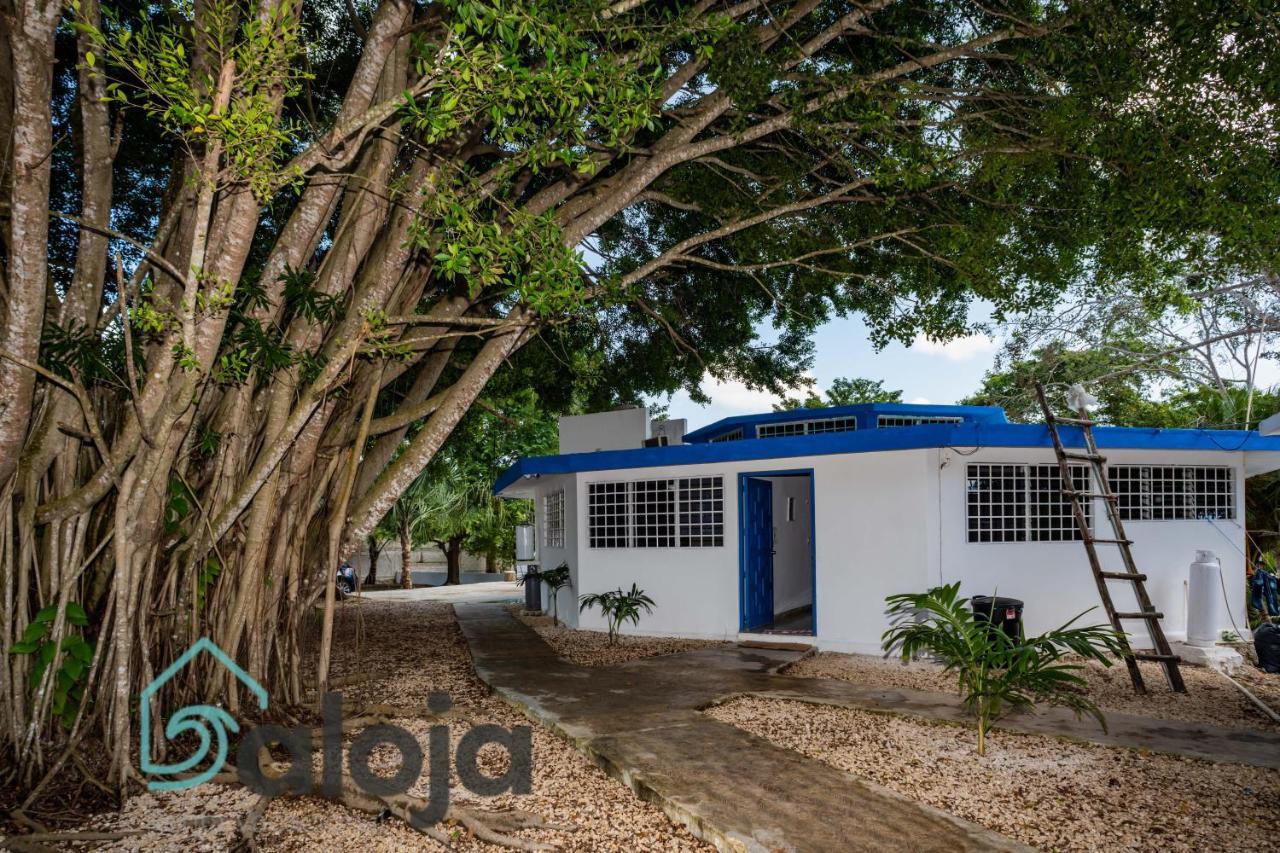 בקאלאר Villa Xtohil With Private Access To The Magic 7 Colors Lagoon מראה חיצוני תמונה