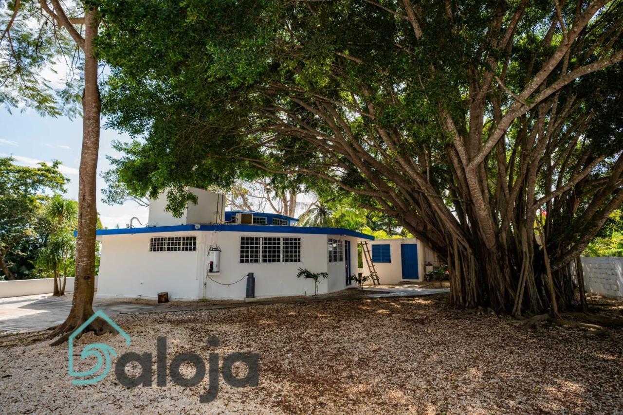 בקאלאר Villa Xtohil With Private Access To The Magic 7 Colors Lagoon מראה חיצוני תמונה