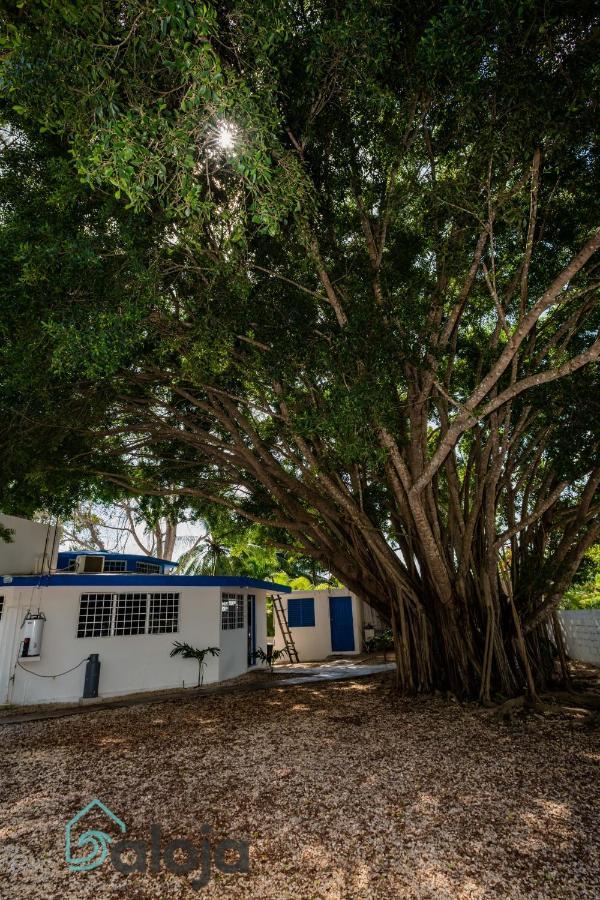 בקאלאר Villa Xtohil With Private Access To The Magic 7 Colors Lagoon מראה חיצוני תמונה