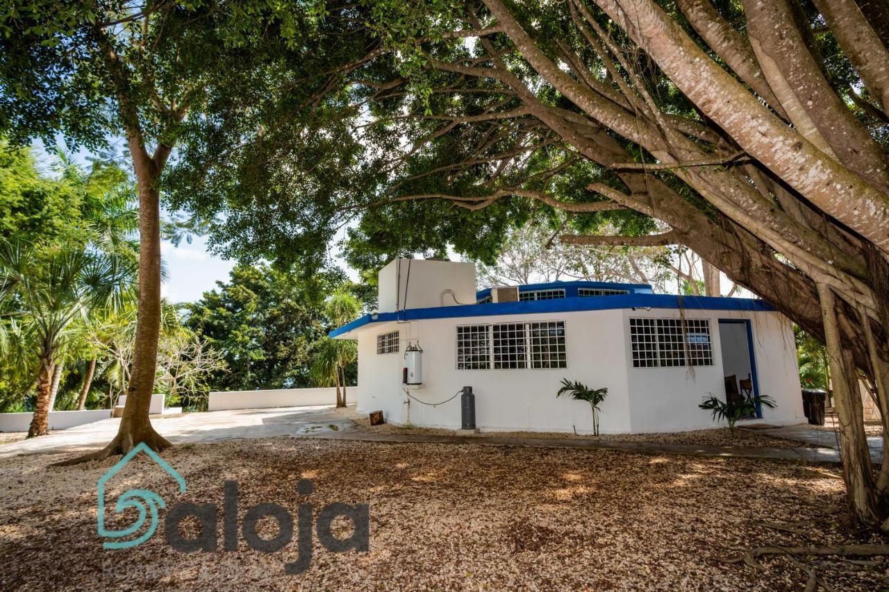 בקאלאר Villa Xtohil With Private Access To The Magic 7 Colors Lagoon מראה חיצוני תמונה